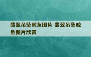 翡翠吊坠鲸鱼图片 翡翠吊坠鲸鱼图片欣赏