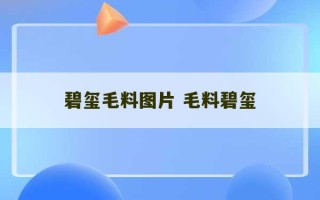 碧玺毛料图片 毛料碧玺