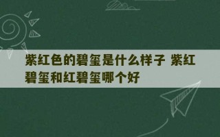 紫红色的碧玺是什么样子 紫红碧玺和红碧玺哪个好