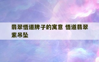 翡翠悟道牌子的寓意 悟道翡翠紫吊坠