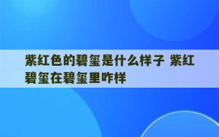 紫红色的碧玺是什么样子 紫红碧玺在碧玺里咋样