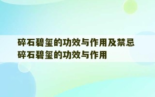 碎石碧玺的功效与作用及禁忌 碎石碧玺的功效与作用