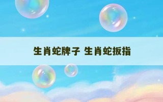 生肖蛇牌子 生肖蛇扳指