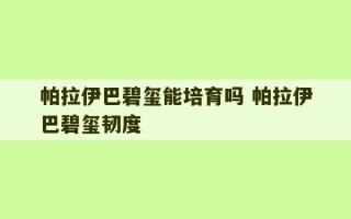 帕拉伊巴碧玺能培育吗 帕拉伊巴碧玺韧度