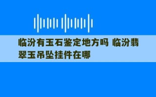 临汾有玉石鉴定地方吗 临汾翡翠玉吊坠挂件在哪