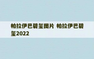 帕拉伊巴碧玺图片 帕拉伊巴碧玺2022