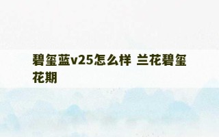 碧玺蓝v25怎么样 兰花碧玺花期