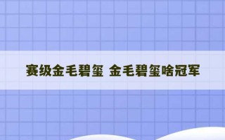 赛级金毛碧玺 金毛碧玺啥冠军