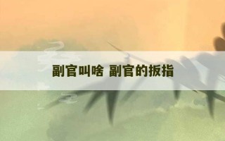 副官叫啥 副官的扳指