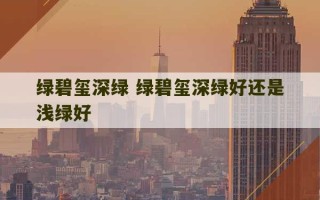 绿碧玺深绿 绿碧玺深绿好还是浅绿好