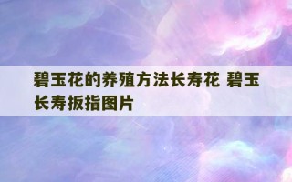 碧玉花的养殖方法长寿花 碧玉长寿扳指图片