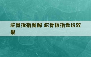 驼骨扳指图解 驼骨扳指盘玩效果