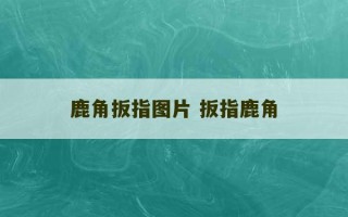 鹿角扳指图片 扳指鹿角