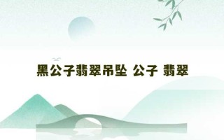 黑公子翡翠吊坠 公子 翡翠