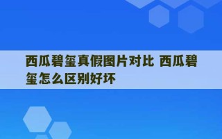 西瓜碧玺真假图片对比 西瓜碧玺怎么区别好坏