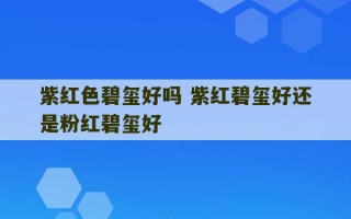 紫红色碧玺好吗 紫红碧玺好还是粉红碧玺好