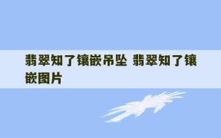 翡翠知了镶嵌吊坠 翡翠知了镶嵌图片