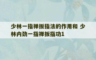 少林一指禅扳指法的作用和 少林内劲一指禅扳指功1