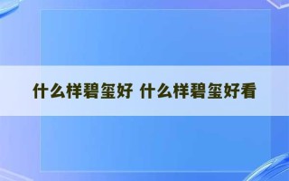 什么样碧玺好 什么样碧玺好看