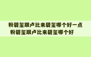 粉碧玺跟卢比来碧玺哪个好一点 粉碧玺跟卢比来碧玺哪个好