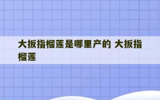 大扳指榴莲是哪里产的 大扳指榴莲