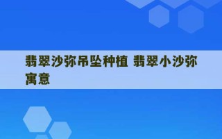 翡翠沙弥吊坠种植 翡翠小沙弥寓意