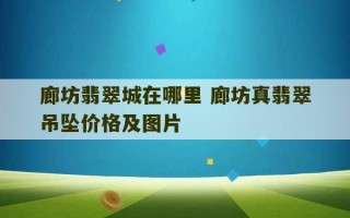 廊坊翡翠城在哪里 廊坊真翡翠吊坠价格及图片