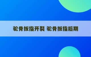 驼骨扳指开裂 驼骨扳指后期