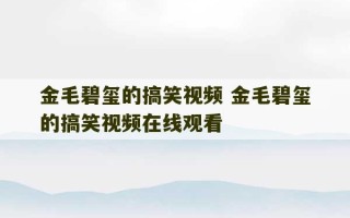 金毛碧玺的搞笑视频 金毛碧玺的搞笑视频在线观看