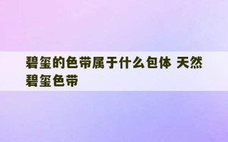 碧玺的色带属于什么包体 天然碧玺色带