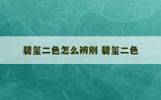 碧玺二色怎么辨别 碧玺二色