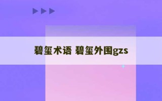 碧玺术语 碧玺外围gzs