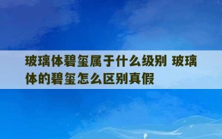 玻璃体碧玺属于什么级别 玻璃体的碧玺怎么区别真假