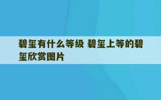 碧玺有什么等级 碧玺上等的碧玺欣赏图片