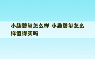 小趣碧玺怎么样 小趣碧玺怎么样值得买吗