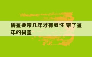 碧玺要带几年才有灵性 带了玺年的碧玺