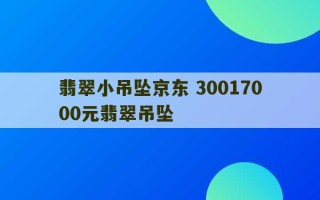 翡翠小吊坠京东 30017000元翡翠吊坠