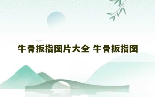 牛骨扳指图片大全 牛骨扳指图