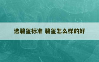 选碧玺标准 碧玺怎么样的好