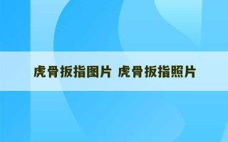 虎骨扳指图片 虎骨扳指照片