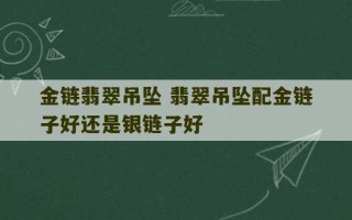 金链翡翠吊坠 翡翠吊坠配金链子好还是银链子好