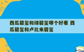 西瓜碧玺和绿碧玺哪个好看 西瓜碧玺和卢比来碧玺