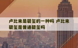 卢比来是碧玺的一种吗 卢比来碧玺是普通碧玺吗