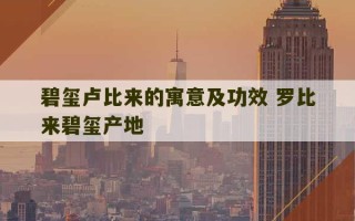 碧玺卢比来的寓意及功效 罗比来碧玺产地