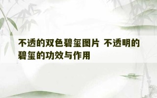 不透的双色碧玺图片 不透明的碧玺的功效与作用