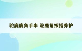 驼鹿鹿角手串 驼鹿角扳指养护