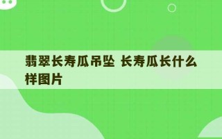 翡翠长寿瓜吊坠 长寿瓜长什么样图片