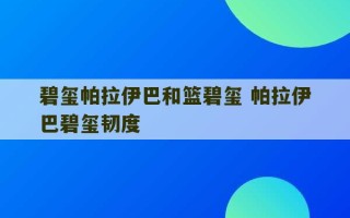 碧玺帕拉伊巴和篮碧玺 帕拉伊巴碧玺韧度