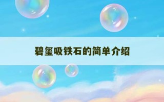 碧玺吸铁石的简单介绍