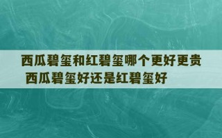 西瓜碧玺和红碧玺哪个更好更贵 西瓜碧玺好还是红碧玺好